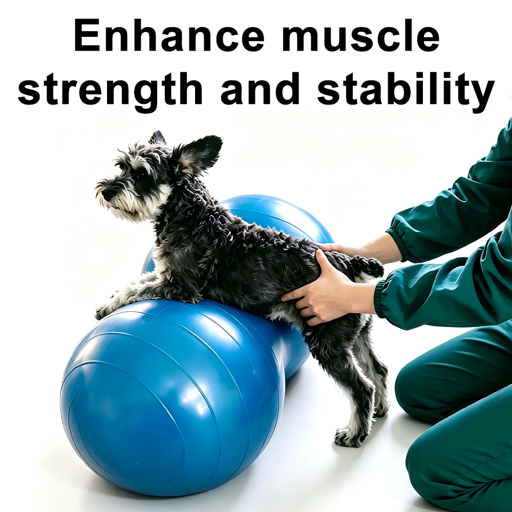 Pelota de Yoga de PVC con Form - Bosu Ball Balance reseña y precio